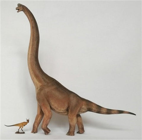 1/35 Long-Necked Dragon Figure Brachiosaurus Dinosaur Ornaments Collector Toy